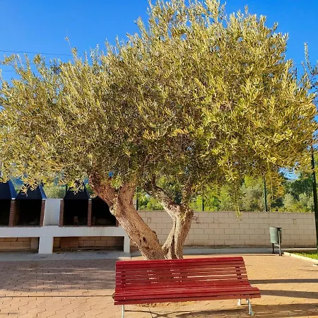 Apartamento Au Petit Bonheur Alcanar