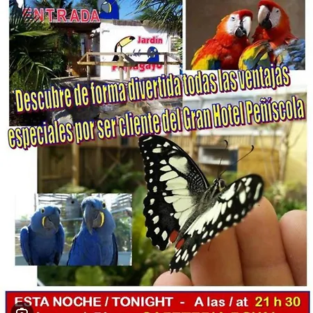 Au Petit Bonheur Alcanar