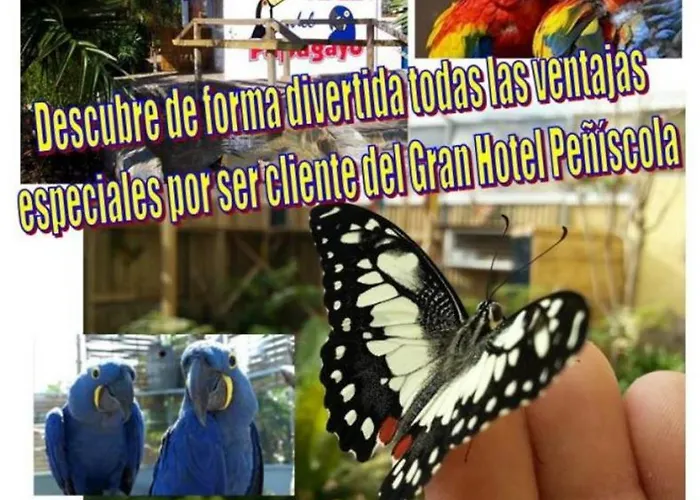 Au Petit Bonheur Alcanar